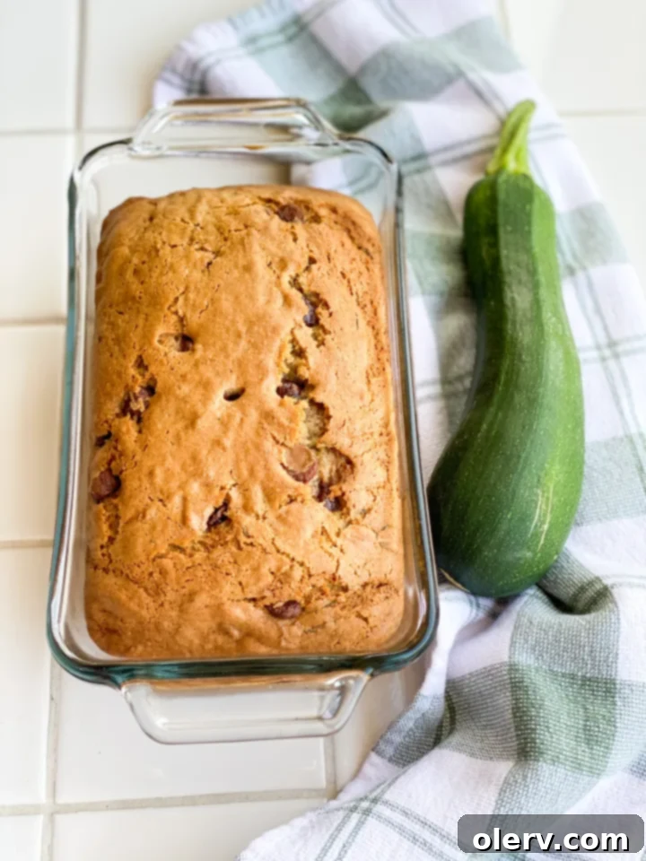 Chocolate Chip Zucchini Bread 3 A close-up of the interior of a slice of Chocolate Chip Zucchini Bread, showing its moist texture and plentiful chocolate chips.