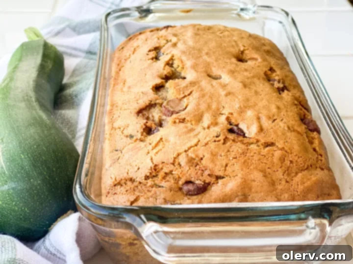 Chocolate Chip Zucchini Bread 4 A whole zucchini next to a grater, illustrating the preparation step for shredding the vegetable.