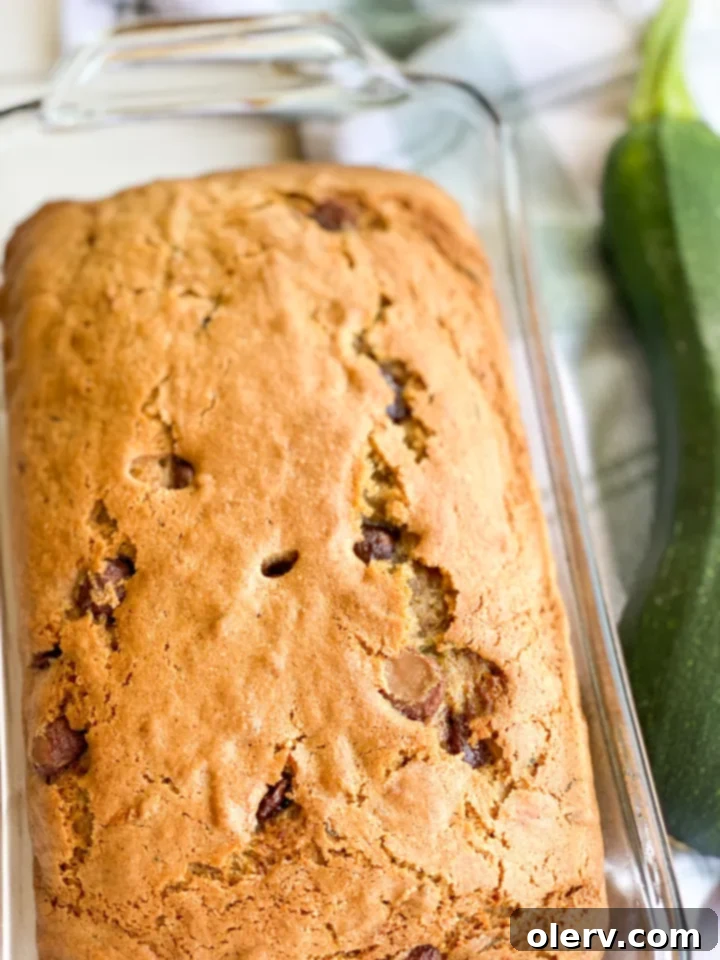 Chocolate Chip Zucchini Bread 5 Shredded zucchini, squeezed of excess moisture, ready to be mixed into the bread batter.