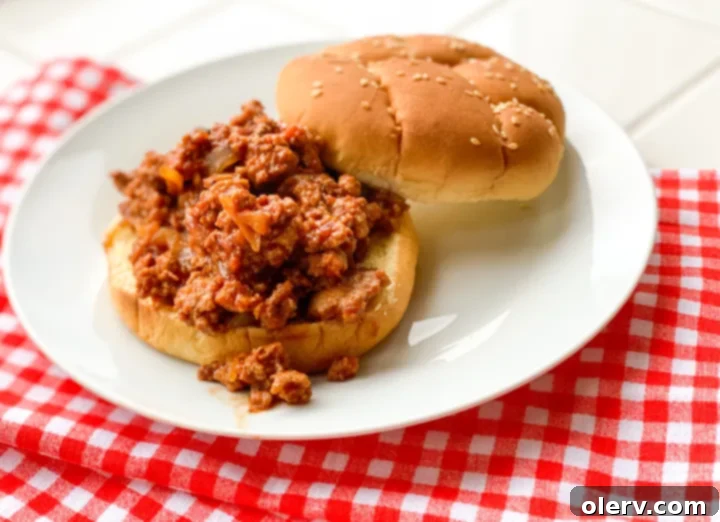 Fully Loaded Sloppy Joes 2 Delicious Loaded Sloppy Joes served on buns, showcasing the rich, savory filling