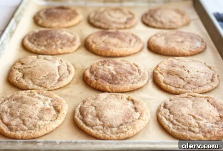 Comforting Maple Snickerdoodles 5 Bowl of Maple Snickerdoodle cookie dough after chilling, showing its firm texture.
