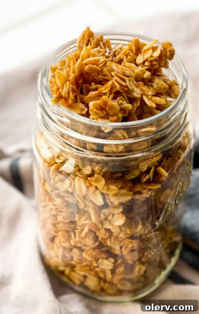 Effortless Vanilla Granola 3 A beautiful shot of a bowl of Easy Vanilla Granola, ready for breakfast.