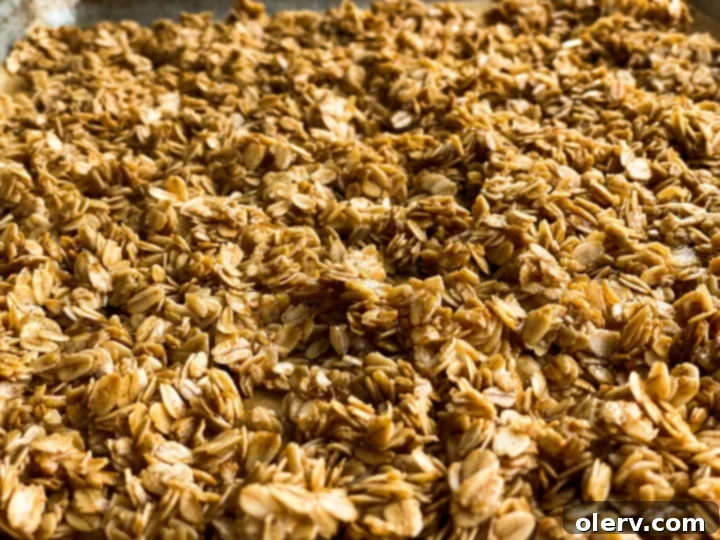 Effortless Vanilla Granola 5 Dry and wet ingredients for vanilla granola mixed together in a bowl.