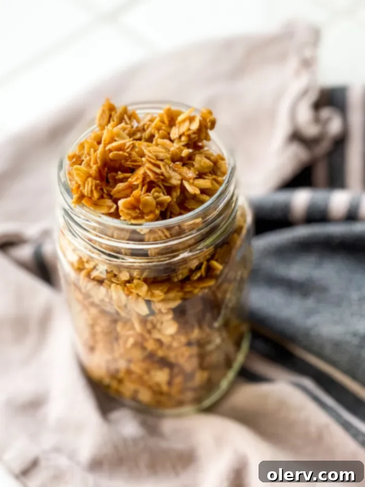 Effortless Vanilla Granola 8 A charming close-up of a bowl of vanilla granola, highlighting its appealing golden texture.