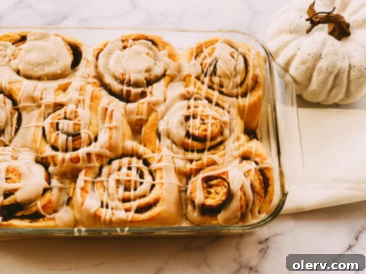 Spiced Pumpkin Cinnamon Rolls with Brown Butter Glaze 2 Freshly baked pumpkin cinnamon rolls with brown butter glaze