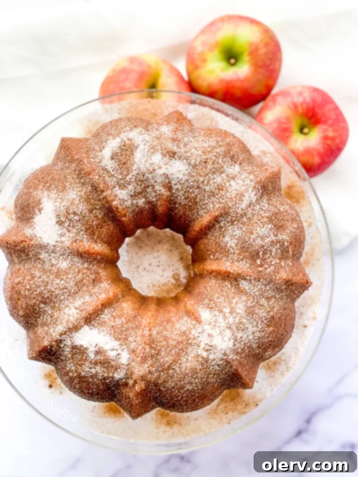 Spiced Apple Cider Cake 2 Slice of Apple Cider Donut Cake with brown butter glaze and cinnamon sugar