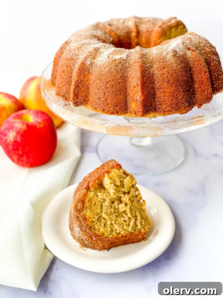 Spiced Apple Cider Cake 3 Full Apple Cider Donut Cake on a cooling rack