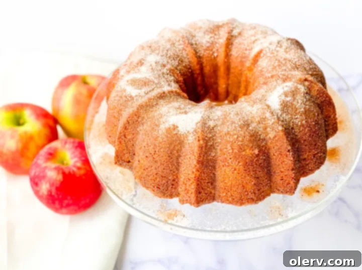 Spiced Apple Cider Cake 4 Bundt pan filled with apple cider donut cake batter