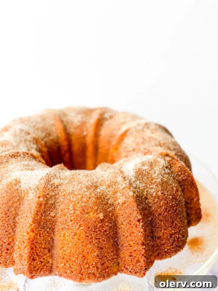 Spiced Apple Cider Cake 6 Apple Cider Donut Cake being glazed with brown butter