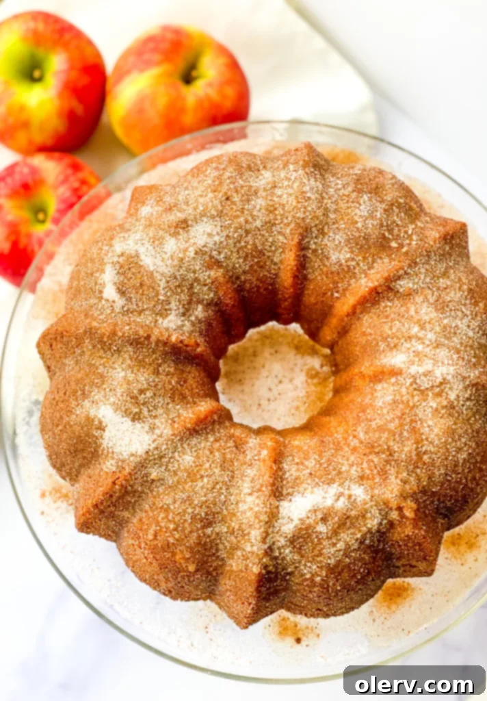 Spiced Apple Cider Cake 7 Cinnamon sugar coating being applied to the brown-buttered Apple Cider Donut Cake