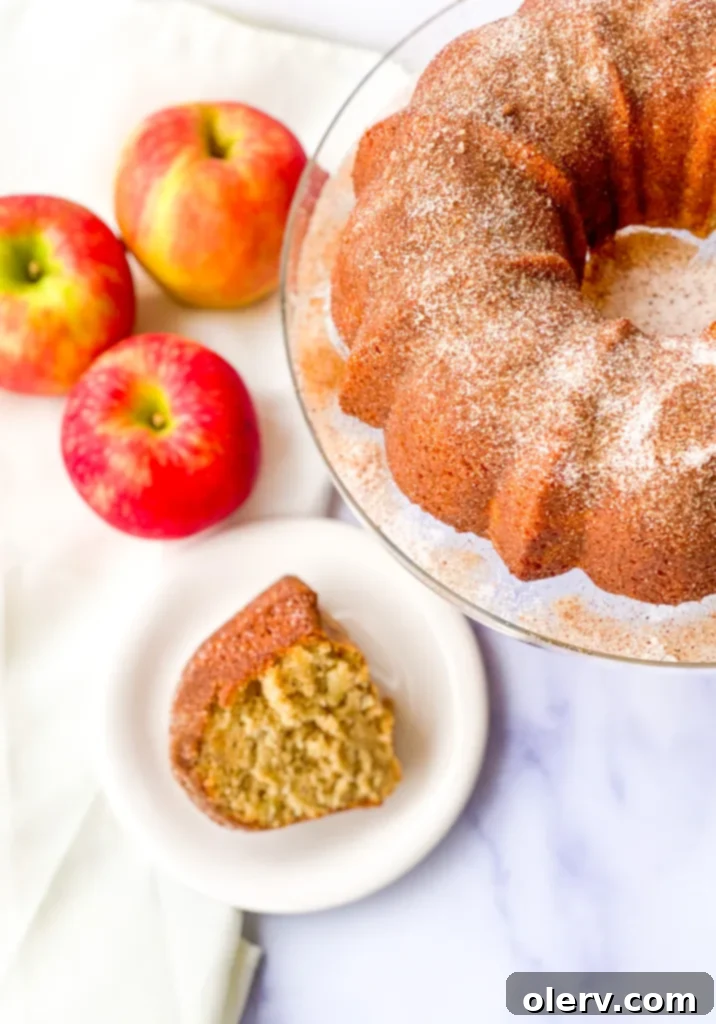 Spiced Apple Cider Cake 8 Full Apple Cider Donut Cake presented on a cake stand