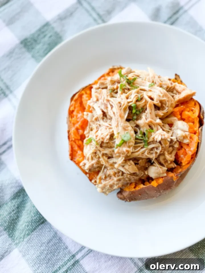 Two halves of a BBQ Chicken Stuffed Sweet Potato, generously topped with shredded BBQ chicken, diced red onions, and fresh cilantro, presented on a plate.