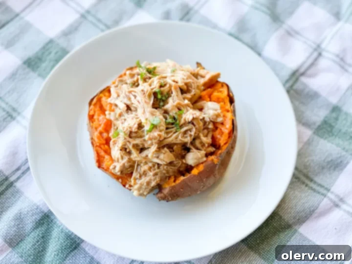 A close-up of a halved sweet potato stuffed with BBQ chicken, with a fork ready to scoop, highlighting the rich texture and colorful toppings.