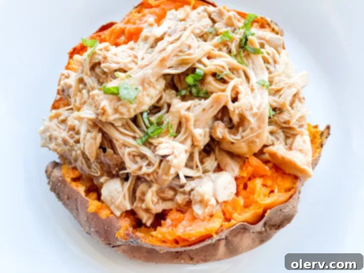 Ingredients for BBQ chicken stuffed sweet potatoes laid out: sweet potatoes, chicken breasts, a jar of BBQ sauce, red onion, and fresh cilantro.