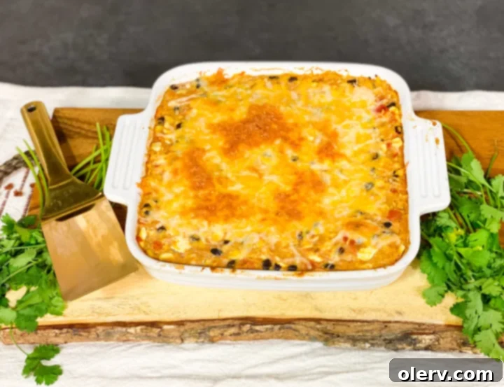 Spaghetti Squash Enchilada Bake 2 Delicious Chicken Spaghetti Squash Enchilada Casserole ready to serve