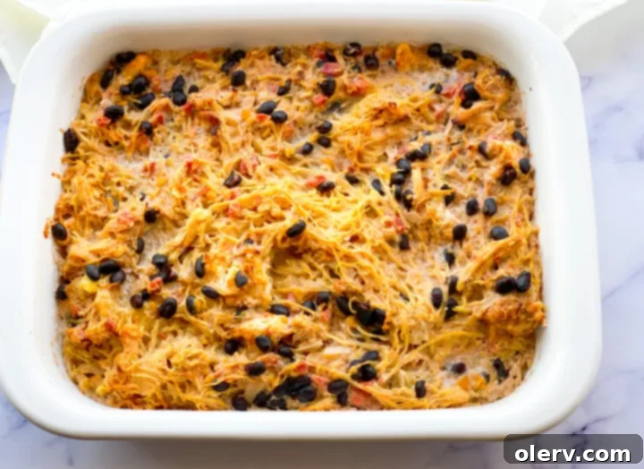 Spaghetti Squash Enchilada Bake 3 Ingredients for Enchilada Casserole laid out on a kitchen counter