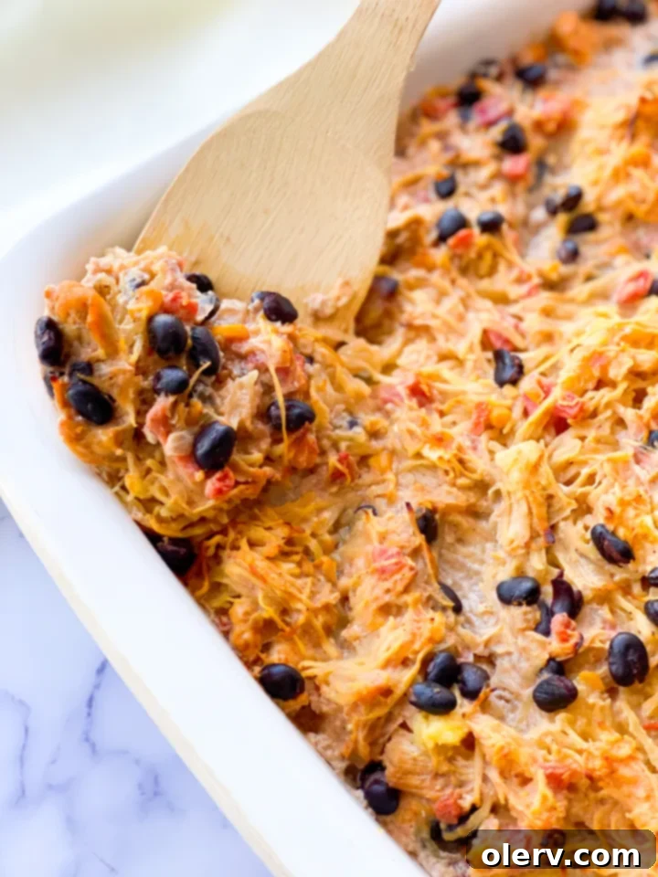 Spaghetti Squash Enchilada Bake 4 Close up of Enchilada Casserole with Spaghetti Squash baked and golden