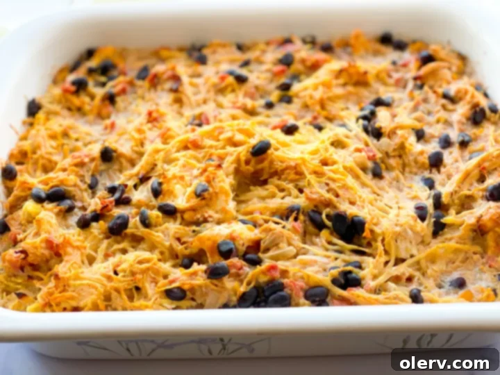 Spaghetti Squash Enchilada Bake 8 Close up of a spoonful of Enchilada Casserole with Spaghetti Squash