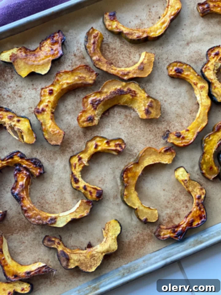 Caramelized Roasted Acorn Squash 2 Beautifully roasted acorn squash slices with a golden-brown caramelization, ready to be served