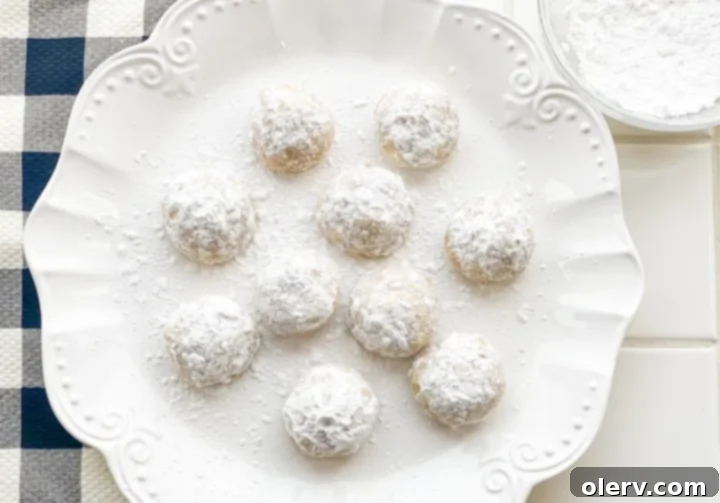 Fiesta Snowball Delights 2 Freshly baked Mexican Wedding Cookies coated in powdered sugar