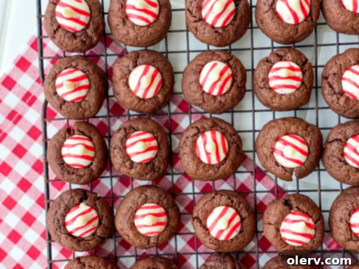 Chocolate Peppermint Kiss Cookies 2 Delicious Peppermint Kiss Chocolate Cookies arranged on a serving plate, showcasing their rich chocolate base and vibrant peppermint kiss topping.