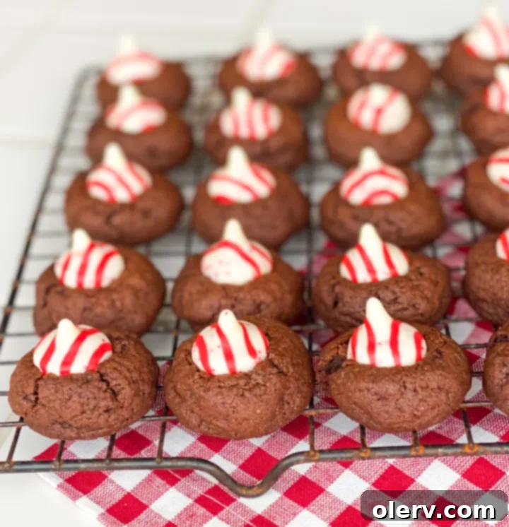 Chocolate Peppermint Kiss Cookies 3 Close-up of a single Peppermint Kiss Chocolate Cookie, highlighting the texture of the chocolate cookie and the melted peppermint kiss.