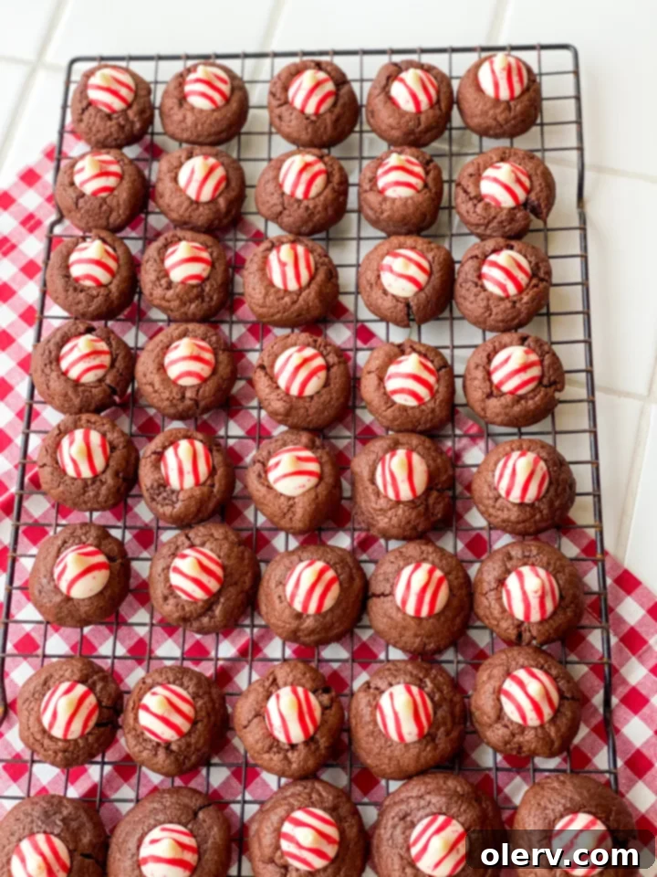 Chocolate Peppermint Kiss Cookies 5 An array of unwrapped Peppermint Hershey's Kisses, ready to be pressed into warm cookies.