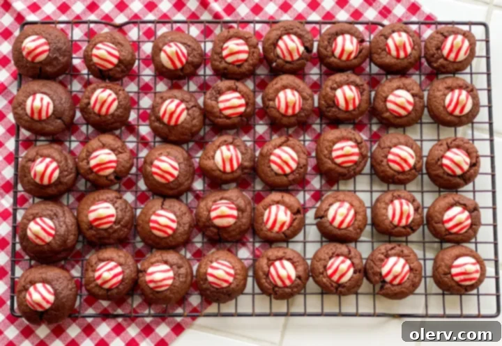 Chocolate Peppermint Kiss Cookies 6 A close-up shot of several Peppermint Kiss Chocolate Cookies on a cooling rack, showing the perfect distribution of kisses.
