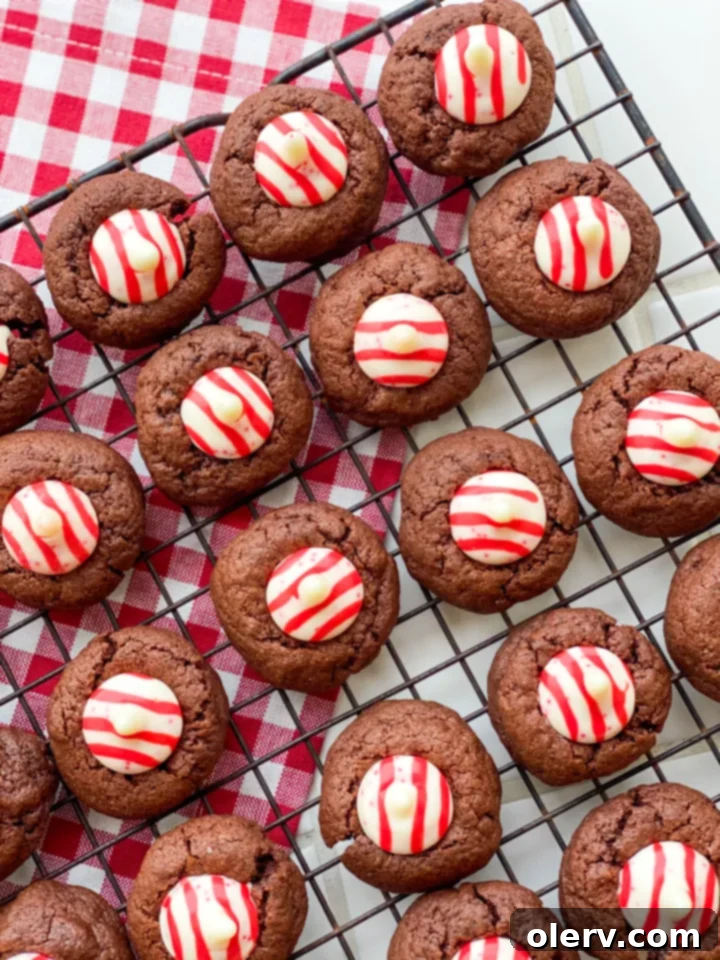 Chocolate Peppermint Kiss Cookies 7 Peppermint Kiss Chocolate Cookies, a delightful holiday treat with rich chocolate and festive peppermint.