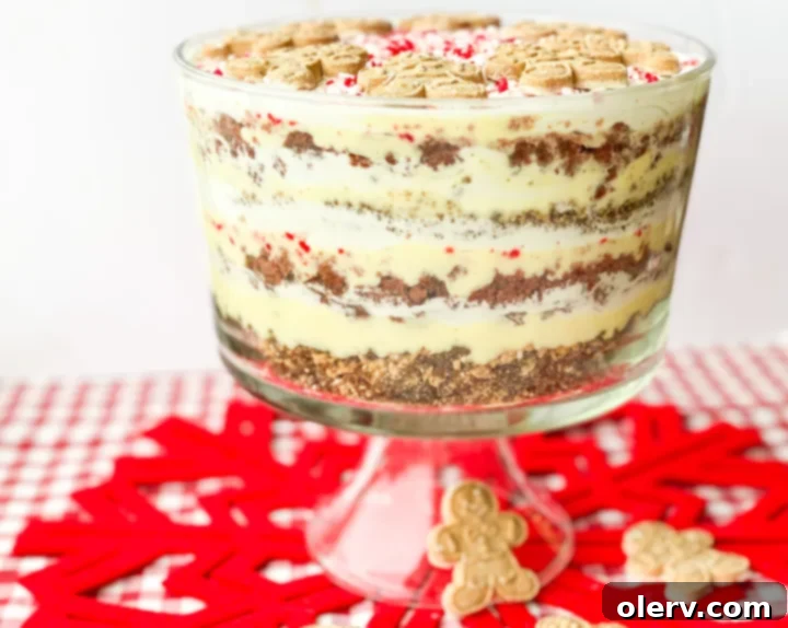 Yuletide Layers of Bliss 3 Close-up of the Christmas Trifle layers, showing the distinct separation of red velvet, gingerbread, and cream.