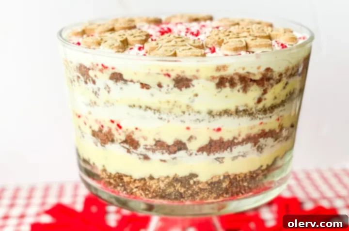 Yuletide Layers of Bliss 5 A side view of the Christmas Trifle in a glass dish, showing the alternating layers clearly.