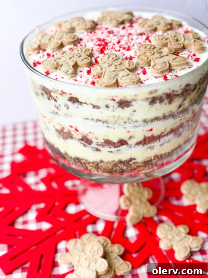 Yuletide Layers of Bliss 6 A top-down view of the prepared Christmas Trifle, showing the detailed garnish of crushed peppermint and gingerbread.