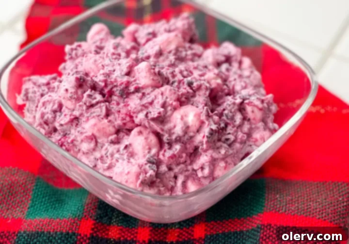 Jeweled Cranberry Salad 2 Delicious Cranberry Salad in a clear bowl
