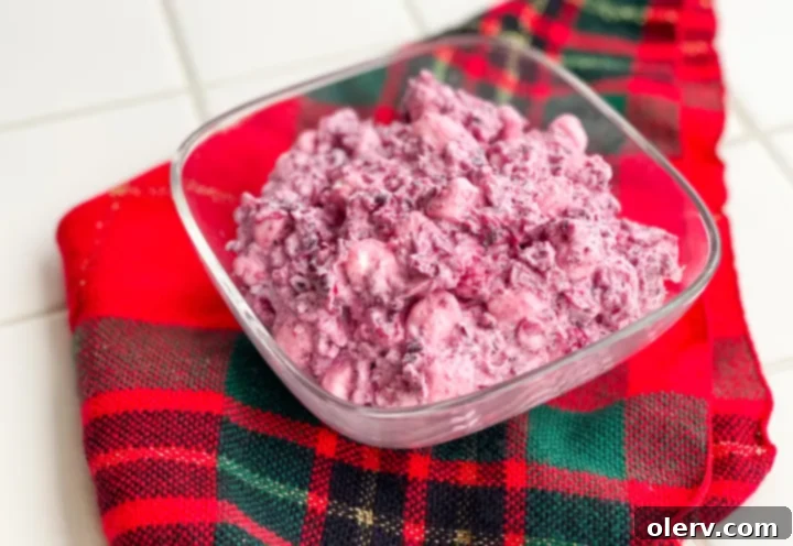 Jeweled Cranberry Salad 4 Ingredients for Cranberry Salad laid out on a table