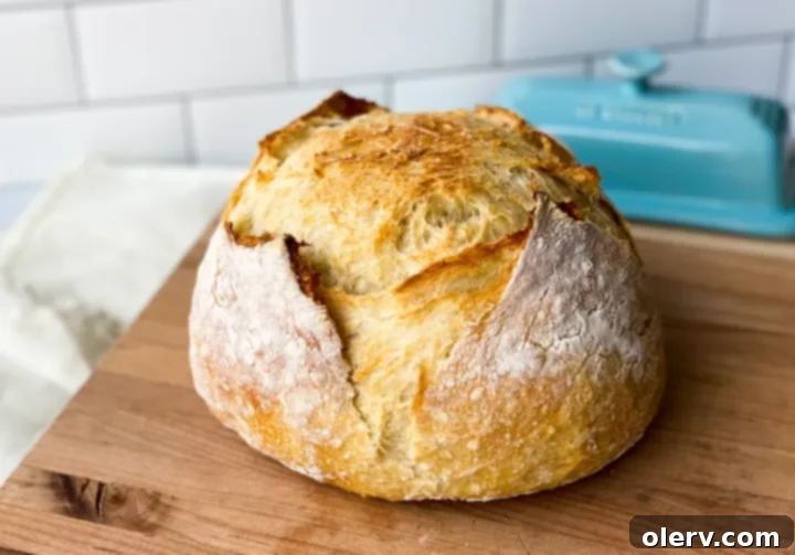 Baking Bread Made Simple 4 Bread dough in a large clear mixing bowl, ready for the first rise