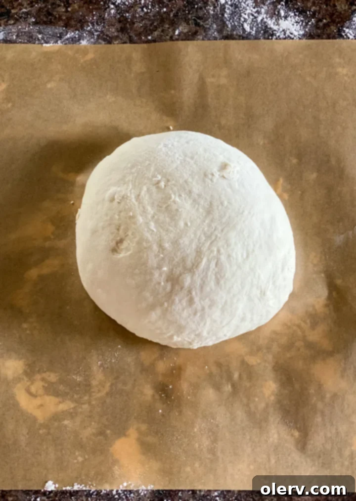 Baking Bread Made Simple 5 A sticky ball of mixed bread dough in a bowl, ready for the first rise