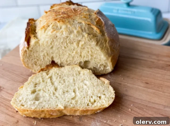 Baking Bread Made Simple 7 Proofed bread dough in a large bowl, covered with plastic wrap and visibly risen