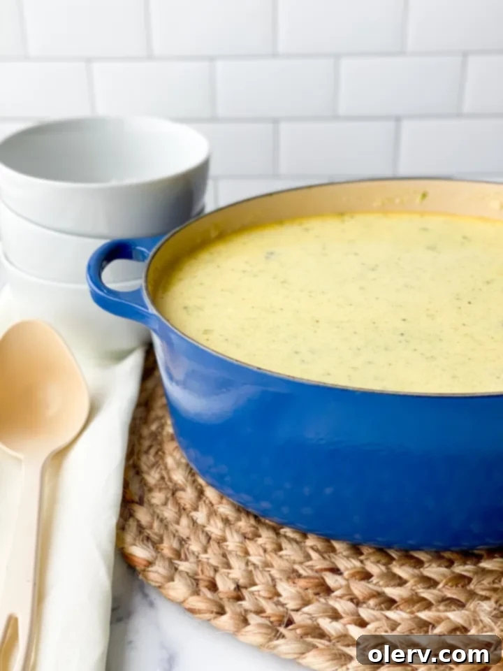 Quick Creamy Broccoli Cheddar Soup 2 A steaming bowl of creamy homemade broccoli cheese soup, garnished with fresh parsley, ready to be enjoyed.