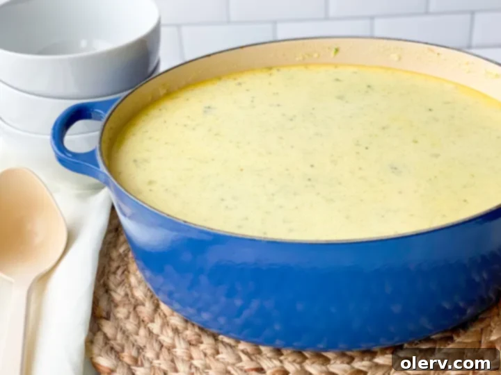 Quick Creamy Broccoli Cheddar Soup 7 A close-up of a serving of broccoli cheese soup in a white bowl, showing tender broccoli pieces and melted cheddar cheese, ready to eat.