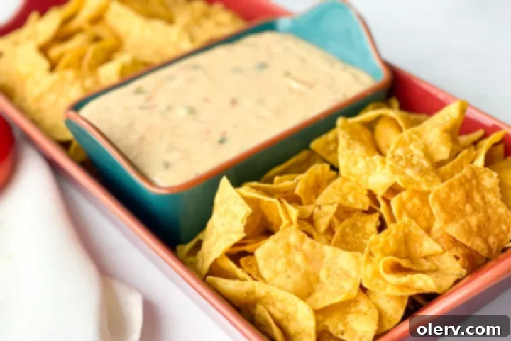 Chipotle Queso Blanco Copycat 3 Close-up of Queso Blanco in a bowl, showing its creamy texture and specks of seasoning.