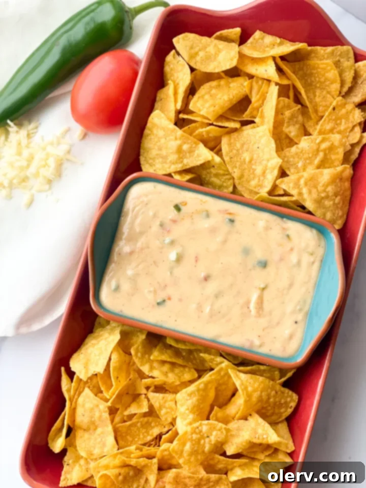 Chipotle Queso Blanco Copycat 4 Queso Blanco in a white bowl, garnished with fresh cilantro and ready for serving.