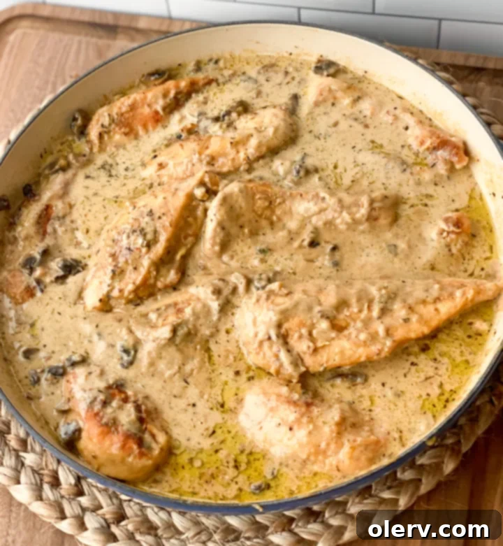 Easy One-Pot Chicken Marsala 2 One-Pot Chicken Marsala served over noodles