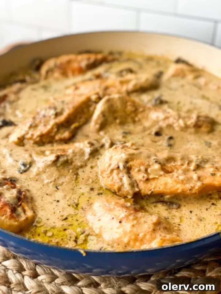 Easy One-Pot Chicken Marsala 3 Close-up of creamy mushroom Marsala sauce