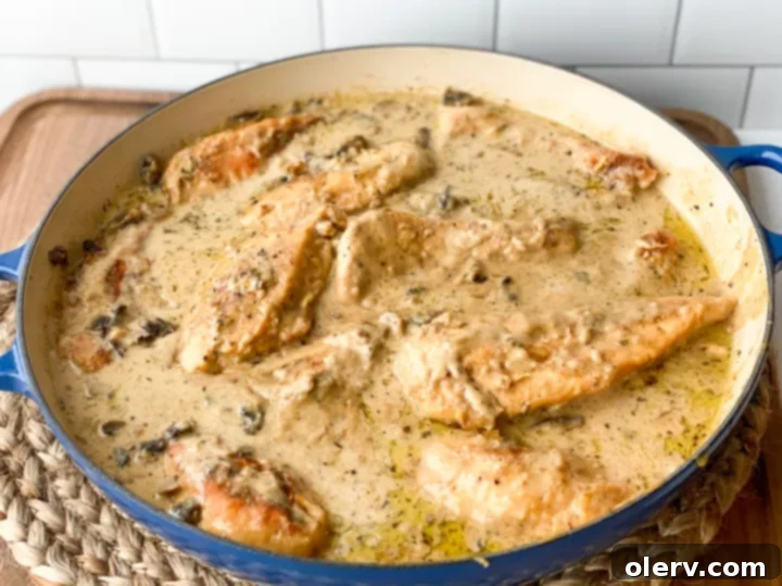Easy One-Pot Chicken Marsala 4 Cooked chicken cutlets ready for sauce