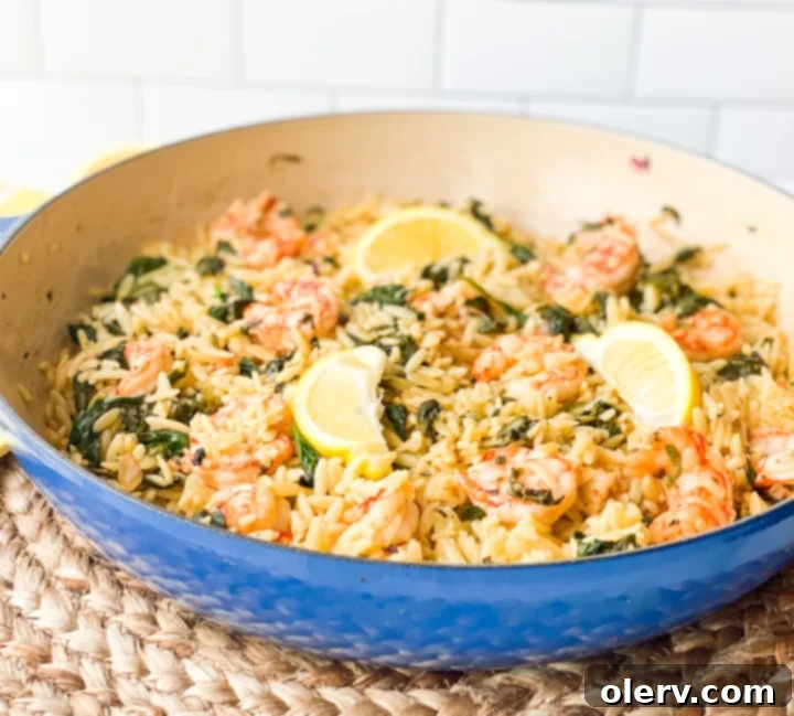 A serving of Lemon Shrimp Scampi in a bowl, showcasing the perfectly cooked shrimp, tender orzo, and vibrant spinach.