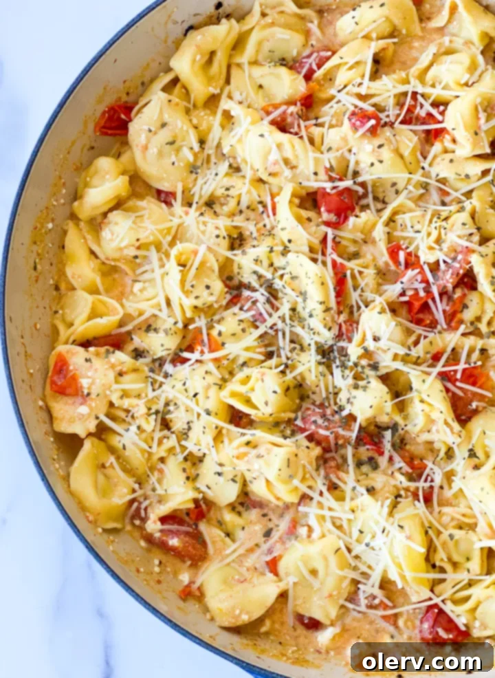 Easy Baked Feta Pasta 6 Baked feta pasta finished dish