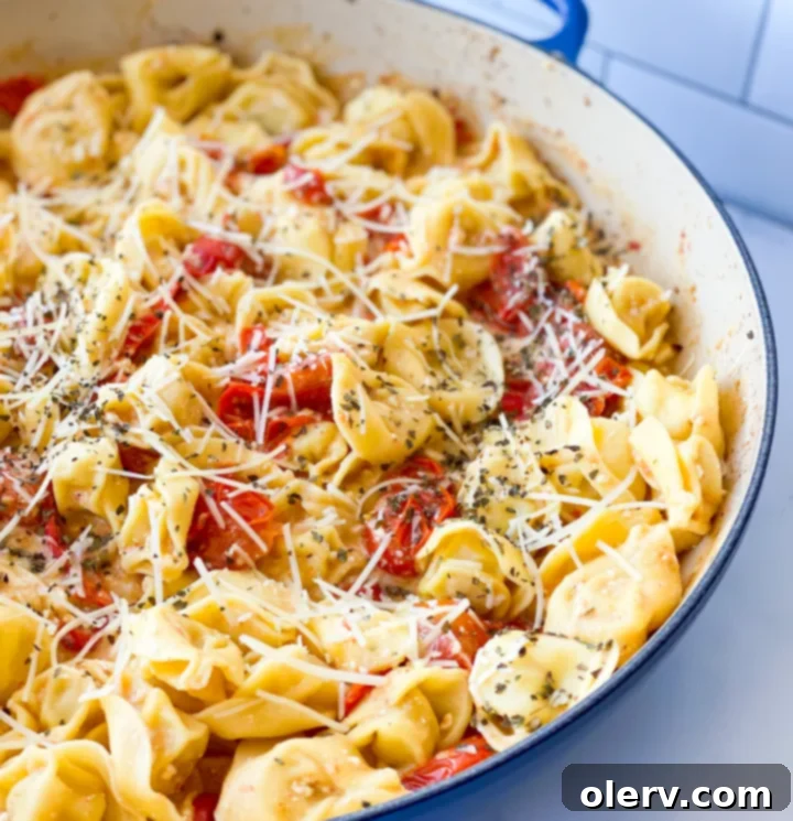 Easy Baked Feta Pasta 7 Baked Feta Pasta close up