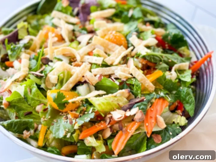 Zesty Asian Chicken Salad 3 Close-up of freshly made Chinese Chicken Salad