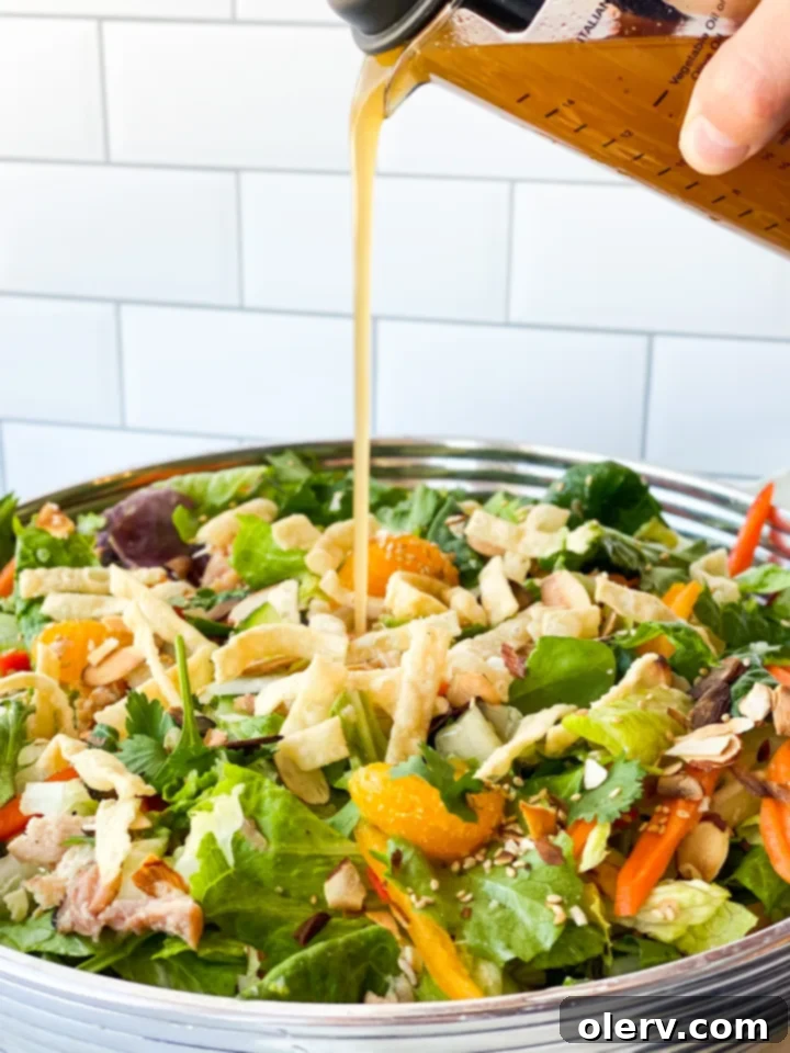 Zesty Asian Chicken Salad 4 Ingredients for Chinese Chicken Salad laid out
