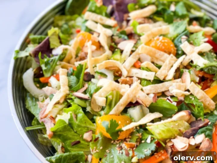 Zesty Asian Chicken Salad 5 Bowl of Ginger Sesame Dressing